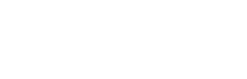 Peek Pro